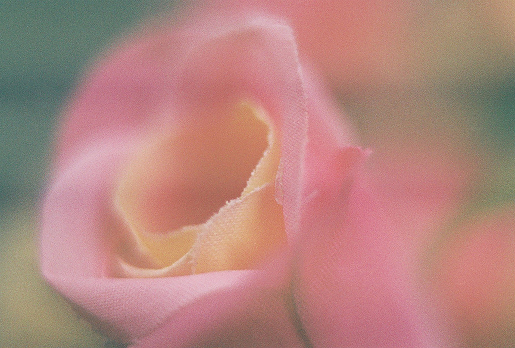 detail of a plastic flower